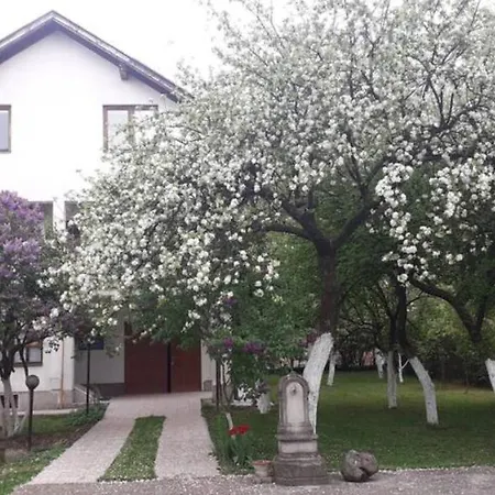 Gardenia * Sarajewo